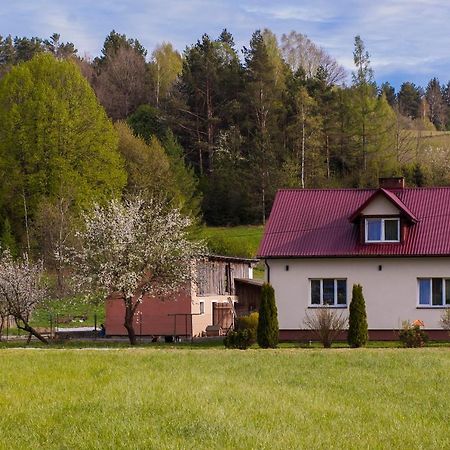 U Jadzi Pogorze Przemyskie Bircza Eksteriør bilde