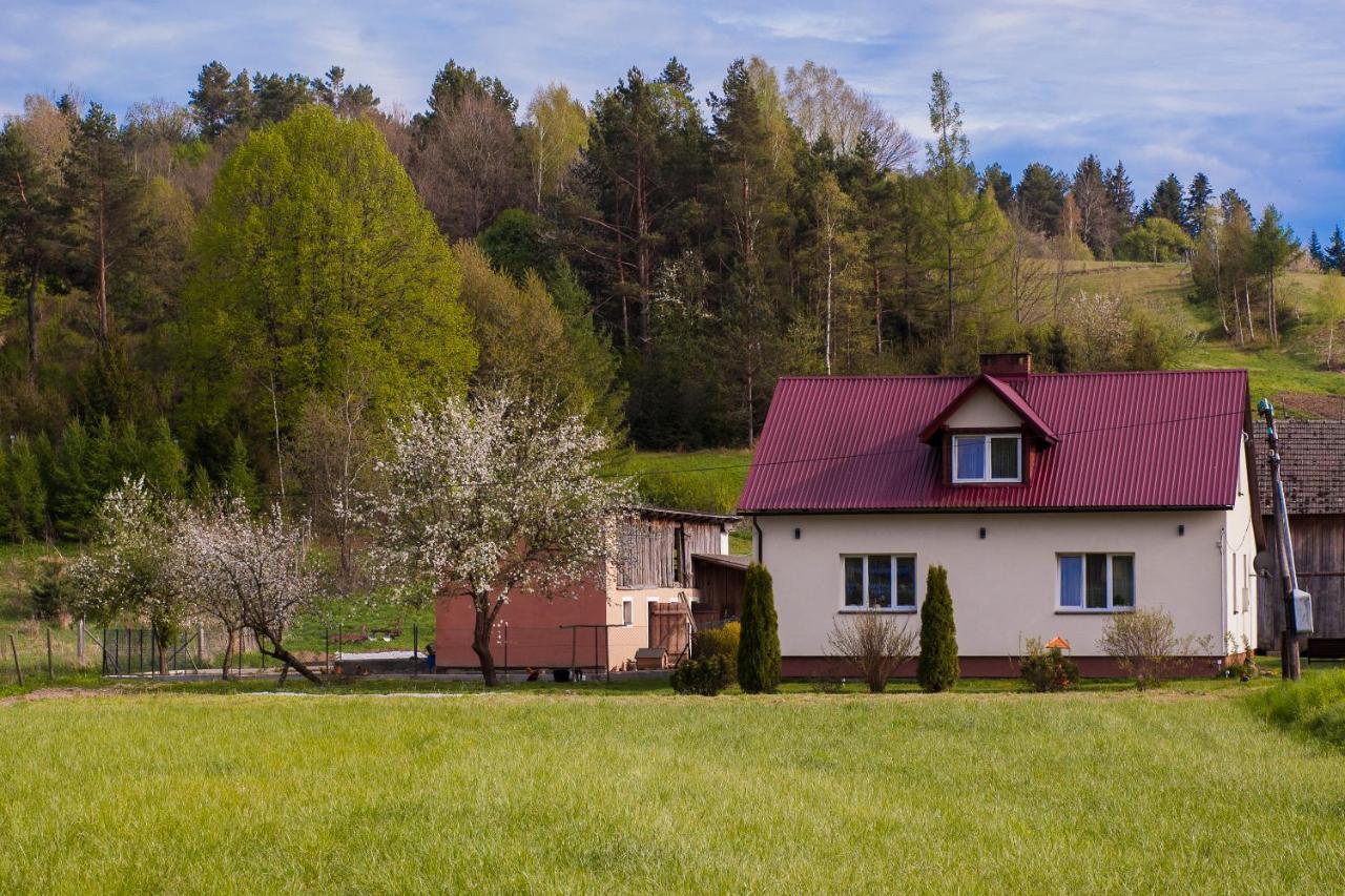 U Jadzi Pogorze Przemyskie Bircza Eksteriør bilde